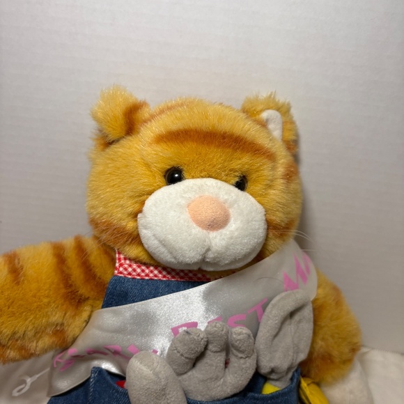 Build A Bear Workshop Orange Tabby Cat Plush w/Mothers Day Special Edition RARE - Picture 11 of 12